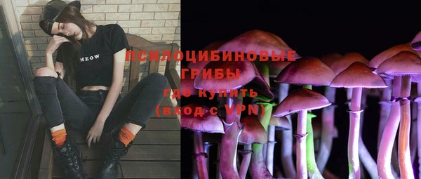 MESCALINE Медвежьегорск